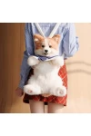 Corgi Doll Backpack